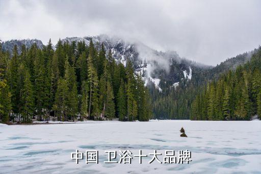 中國 衛(wèi)浴十大品牌