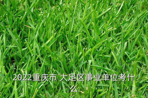 2022重慶市 大足區(qū)事業(yè)單位考什么