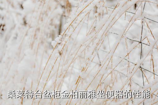 桑萊特臺(tái)盆柜金柏麗雅坐便器的性能