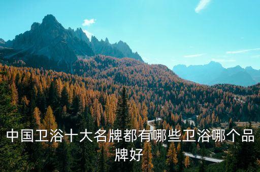 中國(guó)衛(wèi)浴十大名牌都有哪些衛(wèi)浴哪個(gè)品牌好