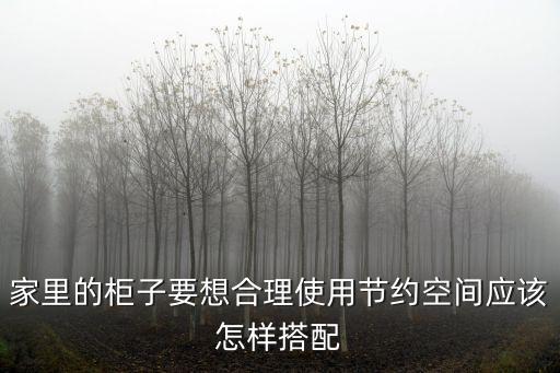 家里的柜子要想合理使用節(jié)約空間應(yīng)該怎樣搭配