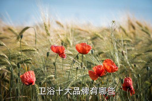  衛(wèi)浴十大品牌有哪些