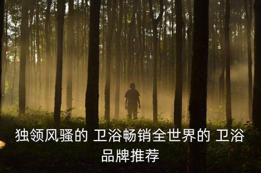 國(guó)外的衛(wèi)浴品牌怎么樣,國(guó)外衛(wèi)浴品牌排行榜前十名
