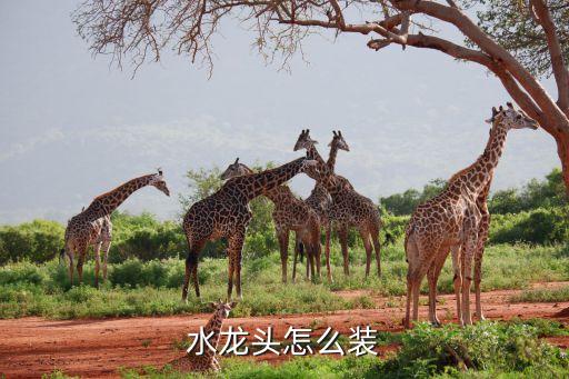水龍頭怎么裝