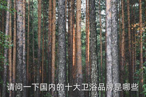 請問一下國內(nèi)的十大衛(wèi)浴品牌是哪些