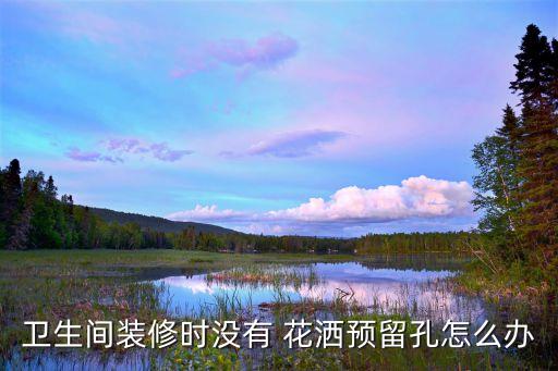 衛(wèi)生間裝修時(shí)沒有 花灑預(yù)留孔怎么辦