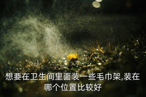 想要在衛(wèi)生間里面裝一些毛巾架,裝在哪個(gè)位置比較好