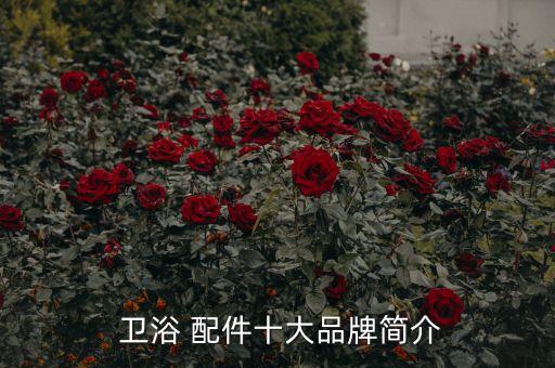  衛(wèi)浴 配件十大品牌簡介