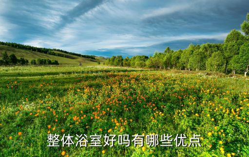 集成衛(wèi)浴設(shè)計(jì)工具圖片