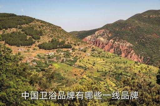 中國(guó)衛(wèi)浴品牌有哪些一線品牌