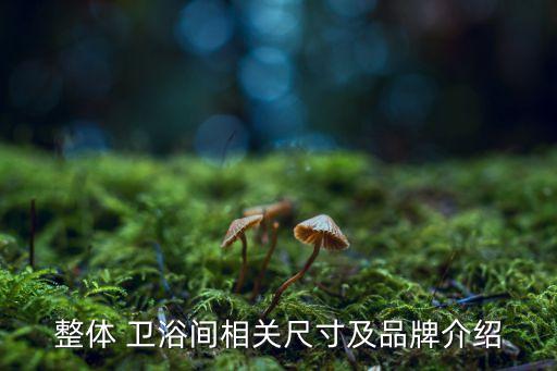 整體 衛(wèi)浴間相關(guān)尺寸及品牌介紹