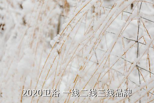 一線品牌廚衛(wèi)浴有哪些