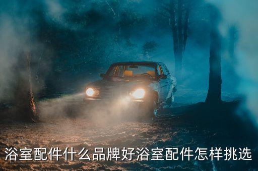 威迪亞衛(wèi)浴地址,威迪歐衛(wèi)浴