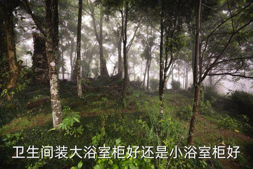 衛(wèi)生間裝大浴室柜好還是小浴室柜好