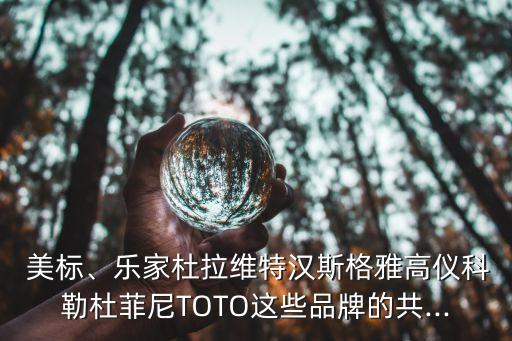  美標、樂家杜拉維特漢斯格雅高儀科勒杜菲尼TOTO這些品牌的共...
