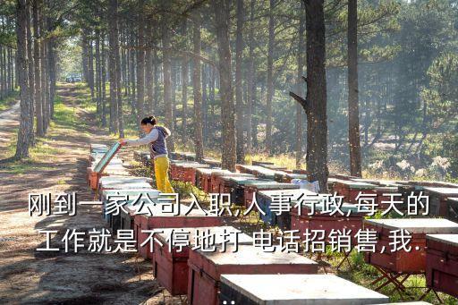 剛到一家公司入職,人事行政,每天的工作就是不停地打 電話招銷售,我...