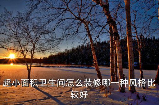 小主臥迷你衛(wèi)浴圖片