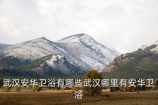 武漢安華衛(wèi)浴有哪些武漢哪里有安華衛(wèi)浴
