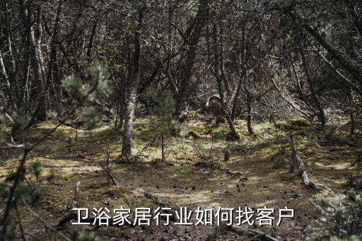  衛(wèi)浴家居行業(yè)如何找客戶