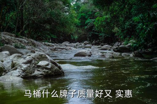 馬桶什么牌子質(zhì)量好又 實(shí)惠