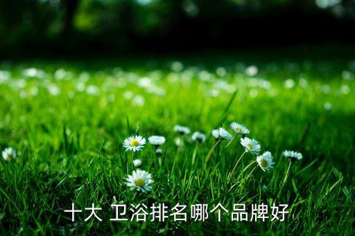 十大 衛(wèi)浴排名哪個(gè)品牌好
