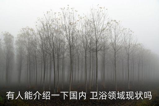 有人能介紹一下國(guó)內(nèi) 衛(wèi)浴領(lǐng)域現(xiàn)狀嗎