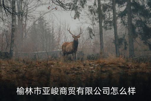  榆林市亞峻商貿(mào)有限公司怎么樣