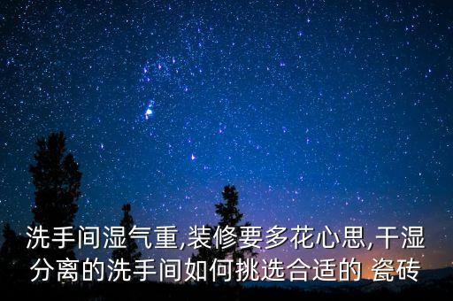 衛(wèi)浴濕區(qū)瓷磚圖片高級(jí),瓷磚衛(wèi)浴廣告圖片
