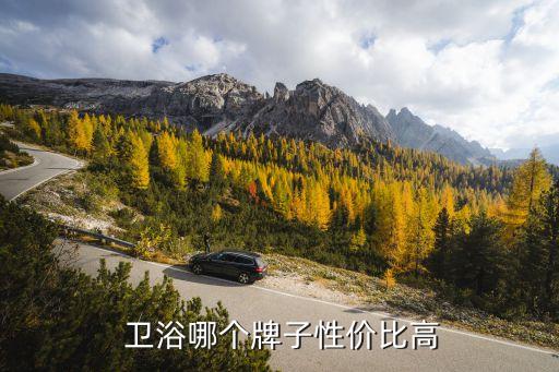  衛(wèi)浴哪個(gè)牌子性價(jià)比高