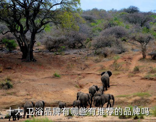 品牌衛(wèi)浴有哪些牌子好,衛(wèi)浴品牌排行榜前十名有哪些牌子