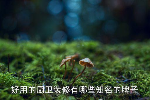 好用的廚衛(wèi)裝修有哪些知名的牌子