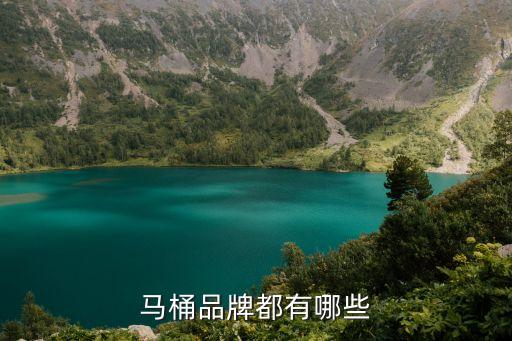 顧家家衛(wèi)浴是什么品牌的,顧家衛(wèi)浴屬于什么檔次