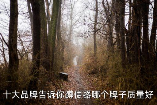 蹲便用什么品牌的衛(wèi)浴比較好