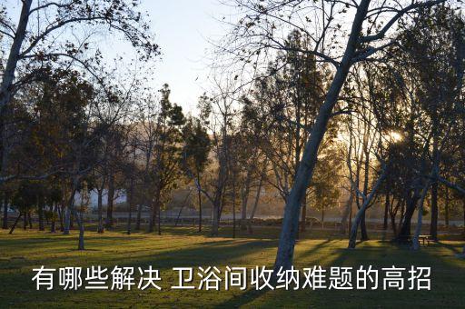 有哪些解決 衛(wèi)浴間收納難題的高招