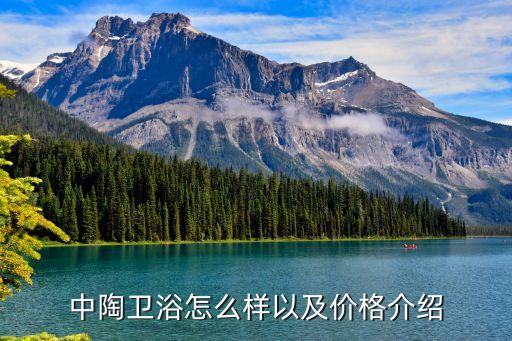 唐陶衛(wèi)浴官方網(wǎng)站地址查詢