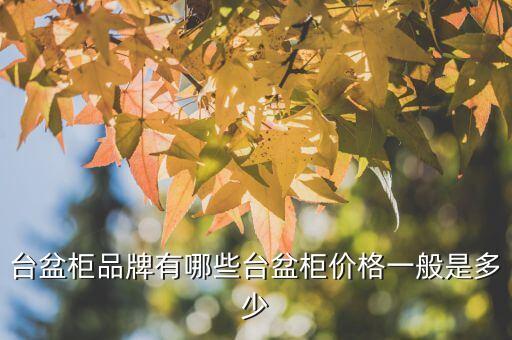 臺(tái)盆柜品牌有哪些臺(tái)盆柜價(jià)格一般是多少