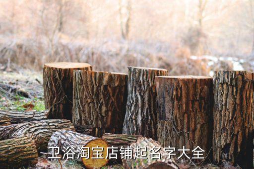 賣衛(wèi)浴的創(chuàng)意段子圖片