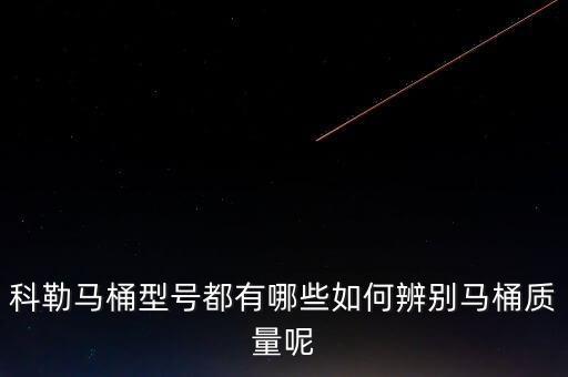 科勒衛(wèi)浴圖片大全科