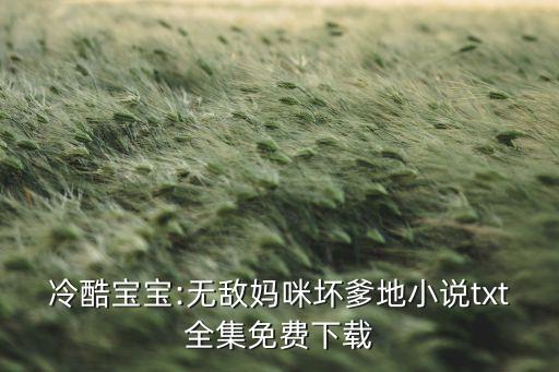 冷酷寶寶:無敵媽咪壞爹地小說txt全集免費(fèi)下載