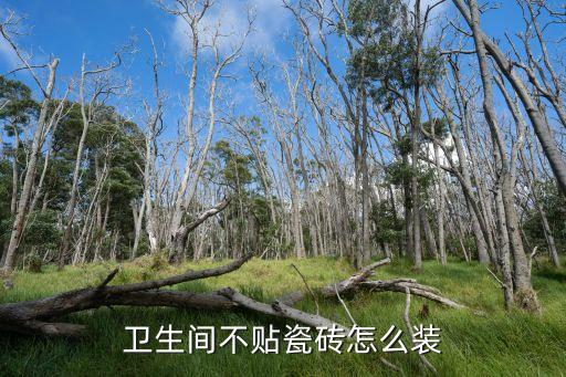衛(wèi)生間不貼瓷磚怎么裝