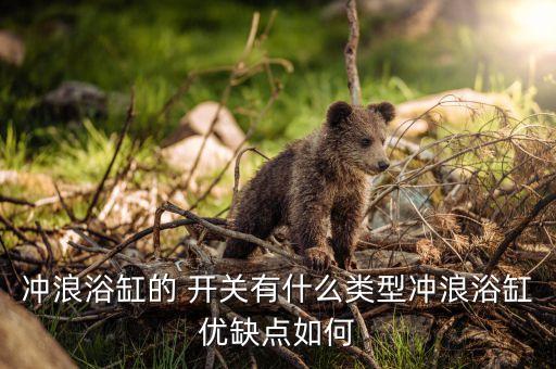 沖浪浴缸的 開關(guān)有什么類型沖浪浴缸優(yōu)缺點(diǎn)如何