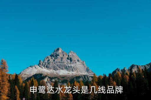 湖北申鷺達(dá)衛(wèi)浴,申鷺達(dá)衛(wèi)浴是一線品牌嗎
