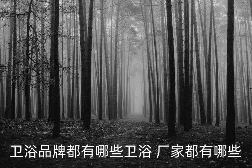 衛(wèi)浴品牌都有哪些衛(wèi)浴 廠家都有哪些