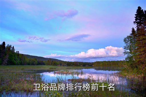 一體衛(wèi)浴哪個好點的品牌,衛(wèi)浴一體盆哪個品牌好