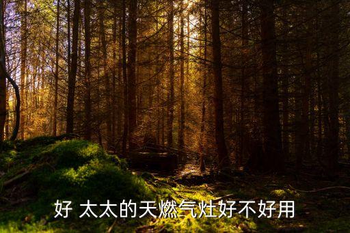 好 太太的天燃?xì)庠詈貌缓糜? class=