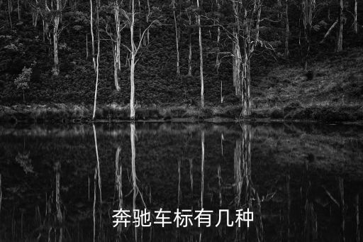  奔馳車標有幾種