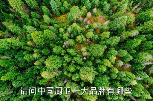 請(qǐng)問(wèn)中國(guó)廚衛(wèi)十大品牌有哪些