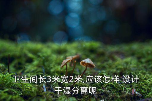 衛(wèi)生間長3米寬2米,應(yīng)該怎樣 設(shè)計干濕分離呢