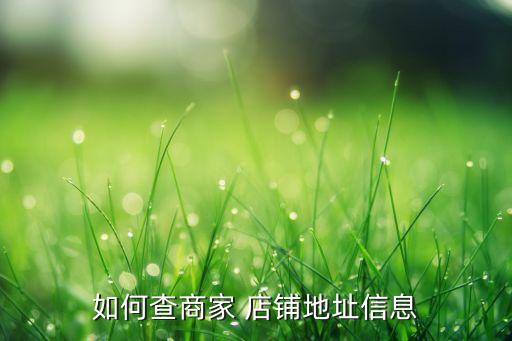 如何查商家 店鋪地址信息