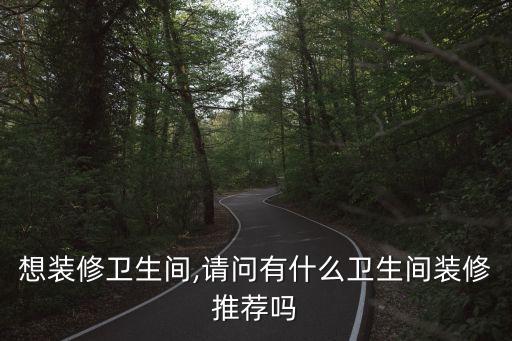 想裝修衛(wèi)生間,請(qǐng)問(wèn)有什么衛(wèi)生間裝修推薦嗎